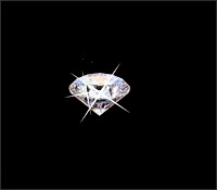 The Full Diamante Ltd 1067612 Image 1